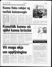 Síða 3