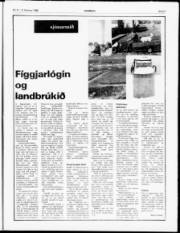 Síða 7