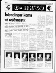 Síða 8