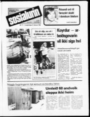 Síða 1