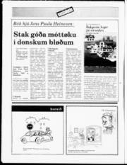 Síða 20