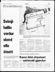Síða 3