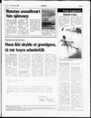 Síða 5