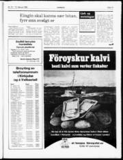 Síða 11