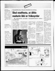 Síða 16