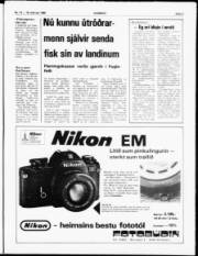 Síða 3