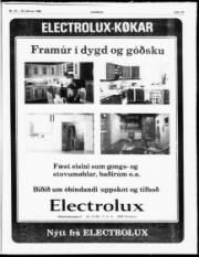 Síða 13