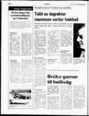 Síða 4
