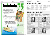 Síða 7
