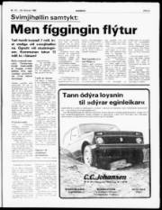Síða 3
