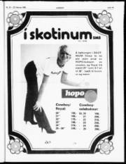 Síða 15