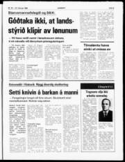 Síða 3