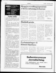 Síða 6