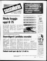 Síða 1