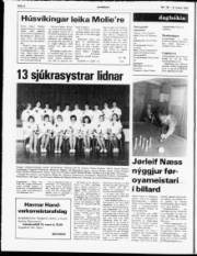 Síða 2