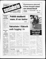 Síða 1