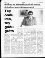 Síða 14