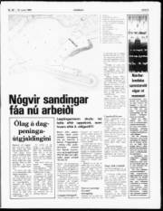 Síða 3