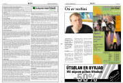 Síða 2