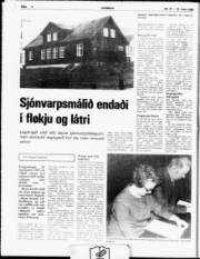 Síða 4