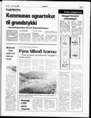 Síða 5