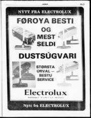 Síða 13