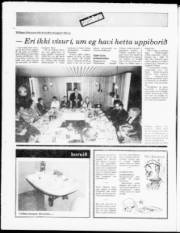 Síða 16