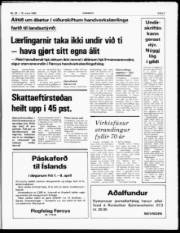 Síða 3