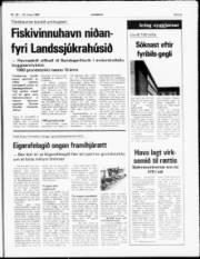 Síða 5