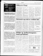 Síða 6