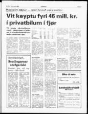 Síða 3