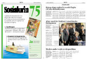 Síða 8