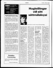 Síða 6