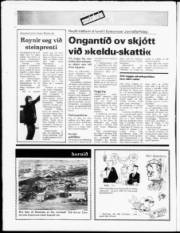 Síða 20