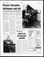 Síða 3