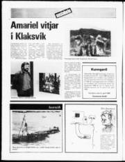 Síða 12