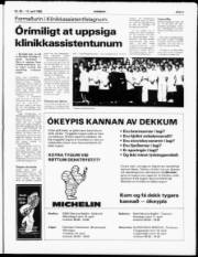 Síða 3