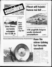 Síða 1