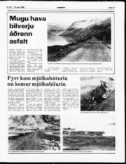 Síða 11