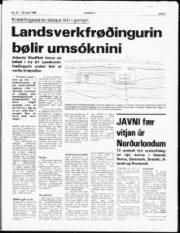 Síða 3
