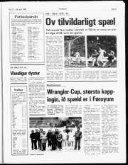 Síða 9
