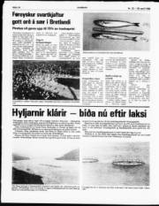 Síða 10
