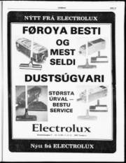 Síða 13