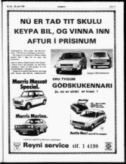 Síða 17
