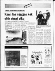 Síða 20