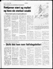 Síða 3