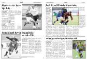Síða 8