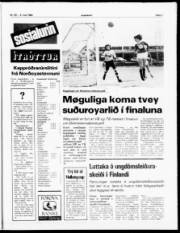 Síða 7