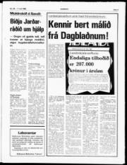 Síða 3