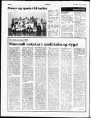 Síða 2